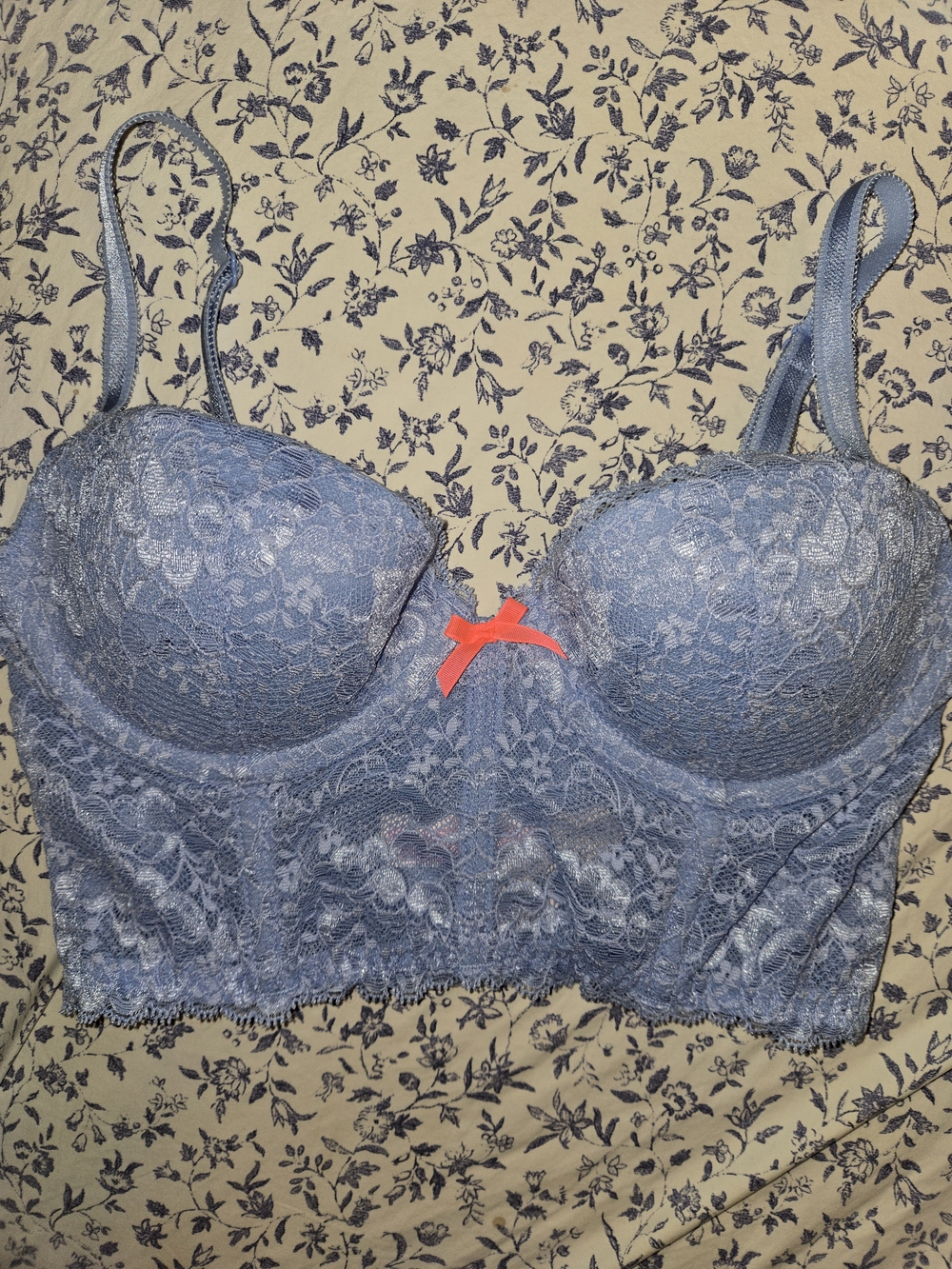 Victoria's Secret Blue Lace Bustier Bra